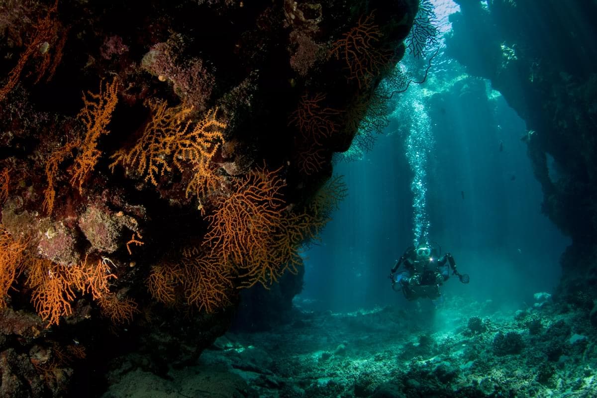 Red Sea diving — image 5