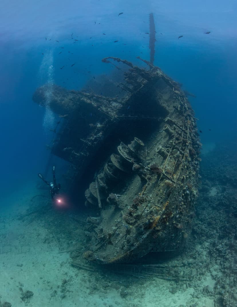 Red Sea Egypt: Wrecks, Reefs, and the Best Routes
