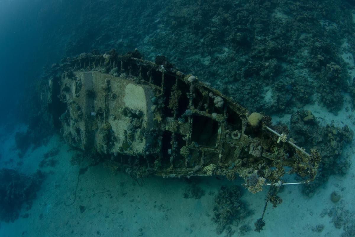 Red Sea
