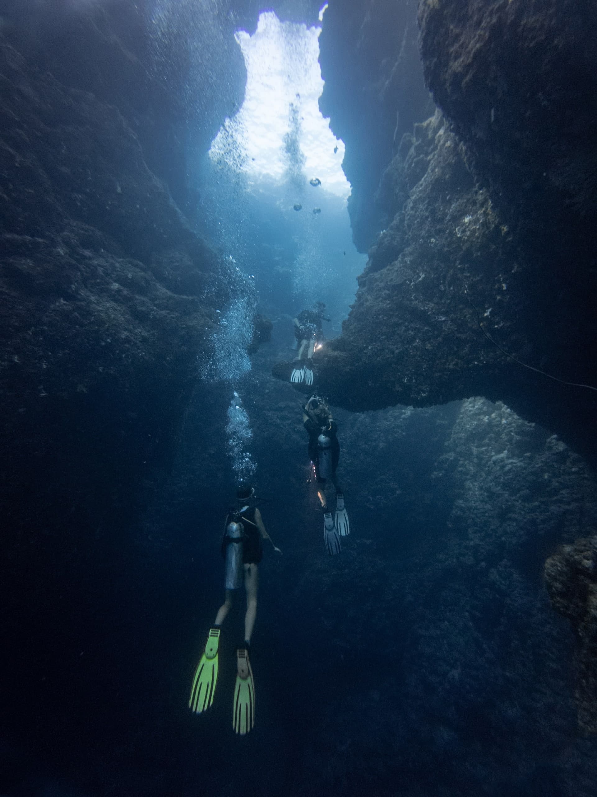 Diving the Galápagos: Hammerheads, Iguanas, and the Crossing to Darwin & Wolf
