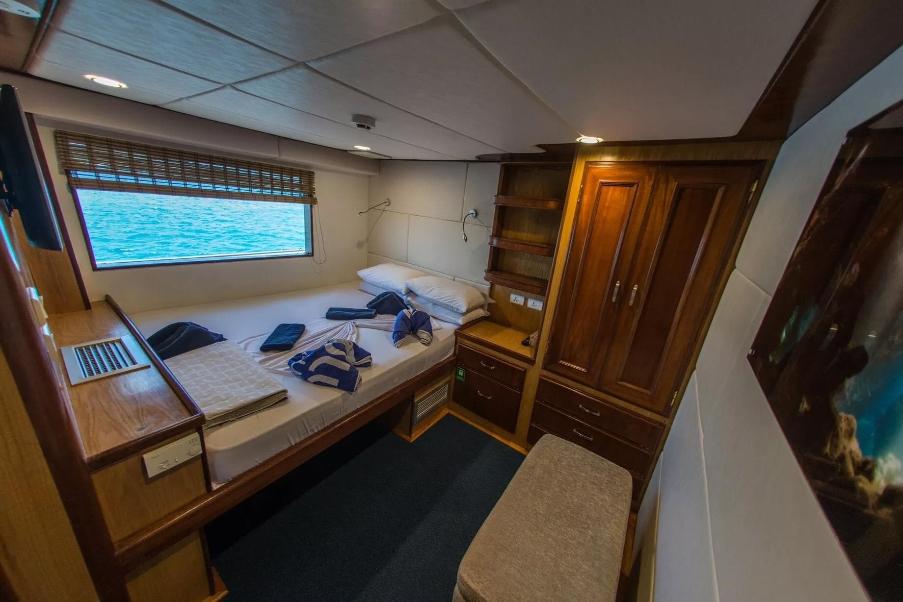 Maldives diving — image 3