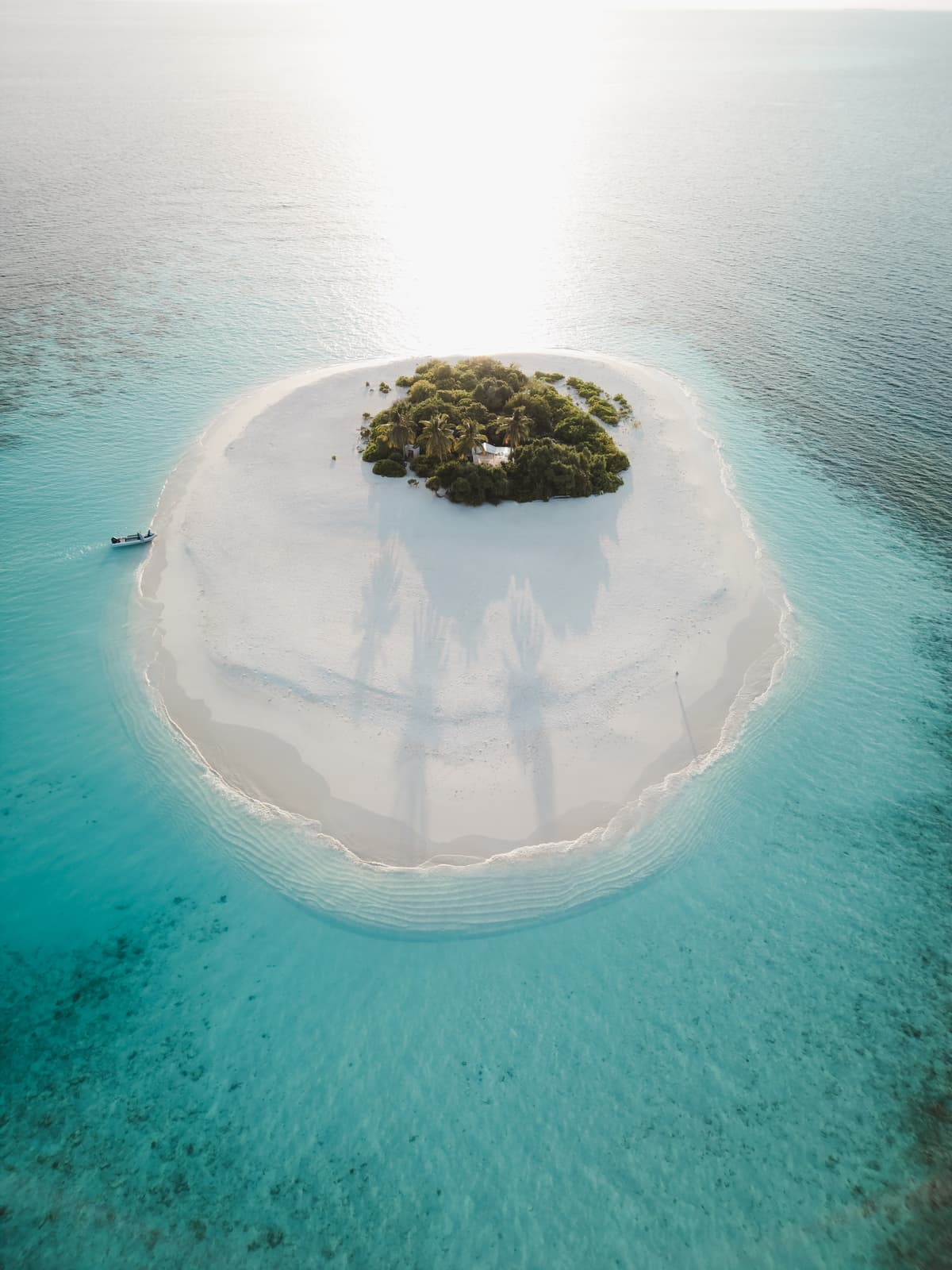 When to Dive the Maldives: Month-by-Month Guide for 2026