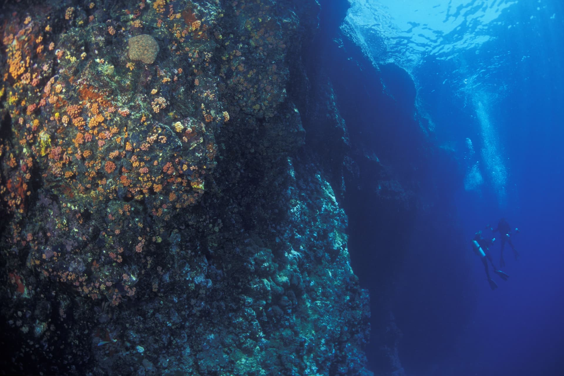 Myanmar diving — image 2