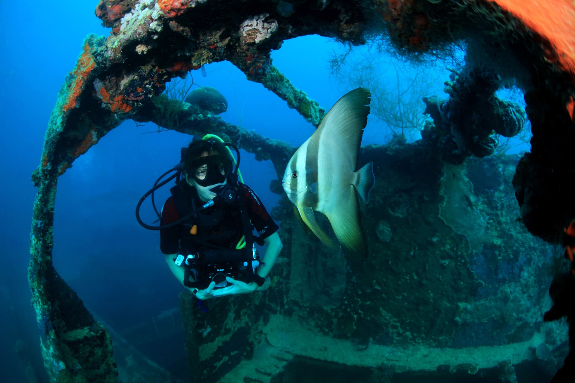 Palau diving — image 4