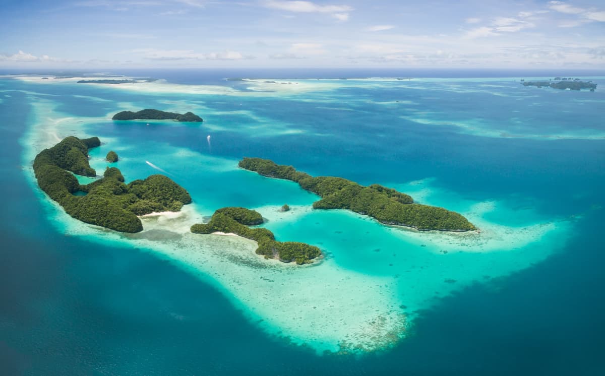 Palau: Best Dive Sites and When to Go
