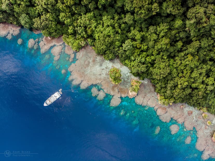 Solomon Islands WWII Wreck Diving: A Site-by-Site Atlas of Iron Bottom Sound