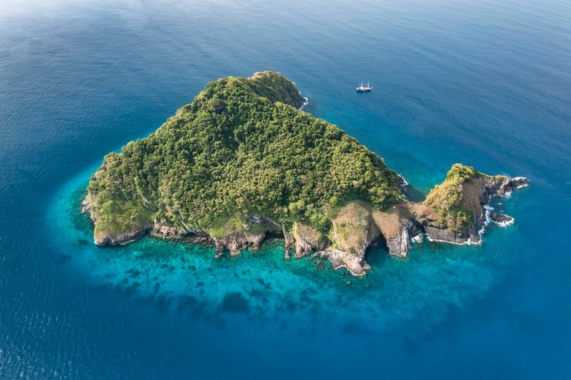 When to Dive Thailand: the Similans Month by Month
