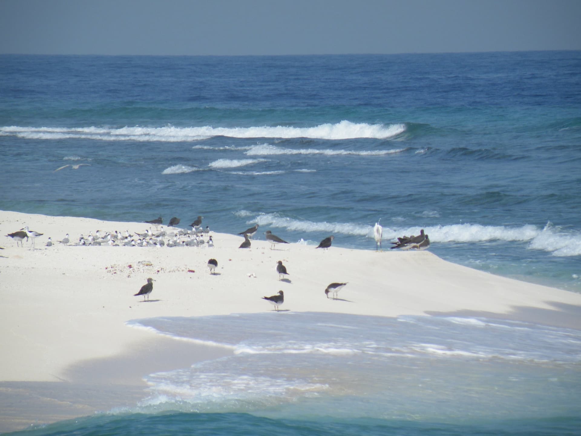 Mar Mar Island, Saudi Arabia