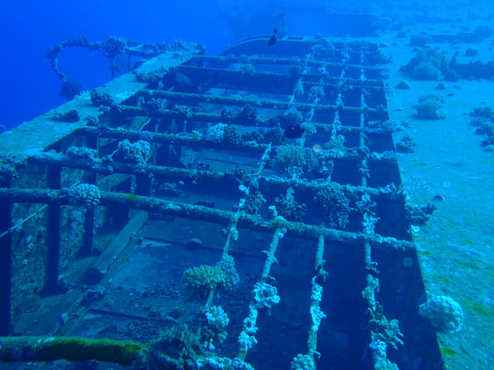Salem Express, Red Sea