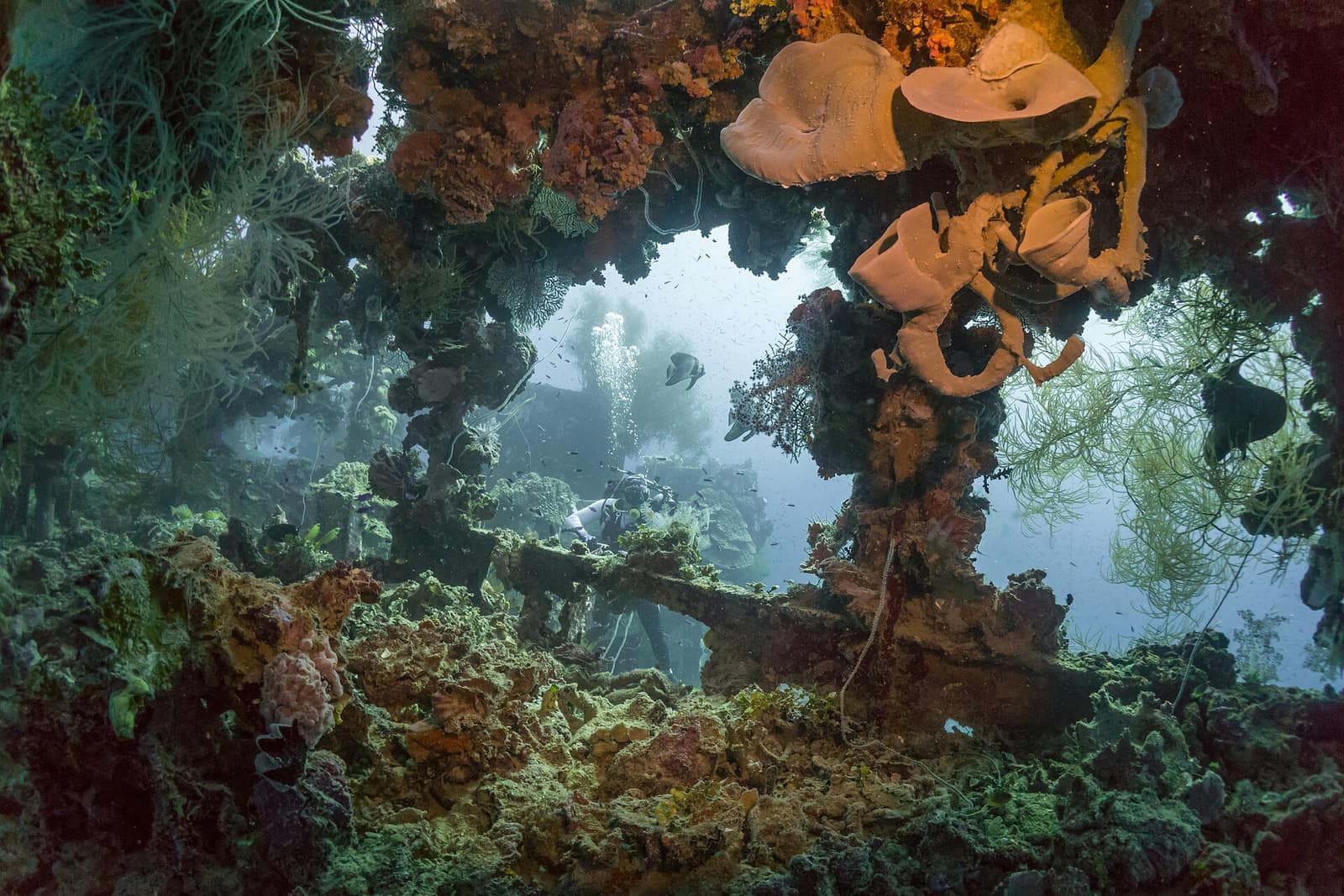 When to Dive Truk Lagoon: Seasons, Visibility and Booking Windows