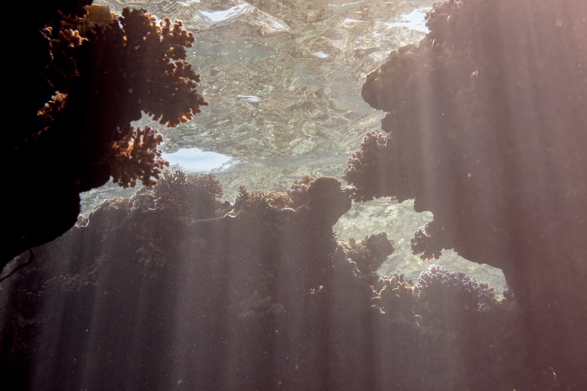 Zabargad Island, Red Sea