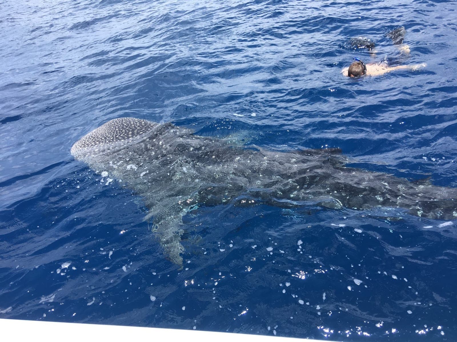 Maldives