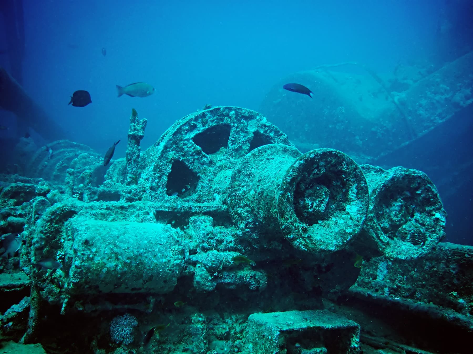 SS Thistlegorm, Red Sea